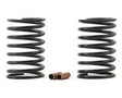 Team Associated Factory Team Springs (Brown - 12.0lb)