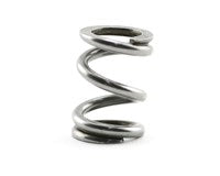 Team Associated RC10 B6 Slipper Spring