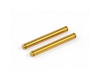 Roche - P12 Kingpin, Titanium Coated, 2 pcs (330107)